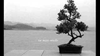 OMAZZ TRUE SB 45 DH OK