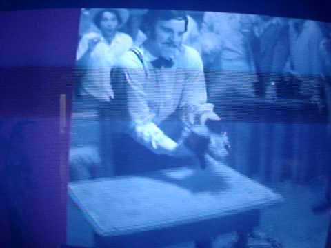 "Good Lord! Cat Juggling!!!"