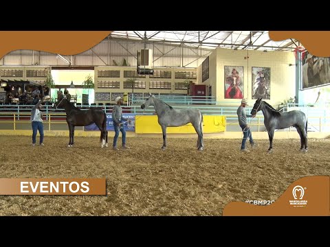 CBM MARCHA PICADA 2022 - ABERTURA - PROGENIES MÃE - PAI SÊNIOR E PAI JOVEM