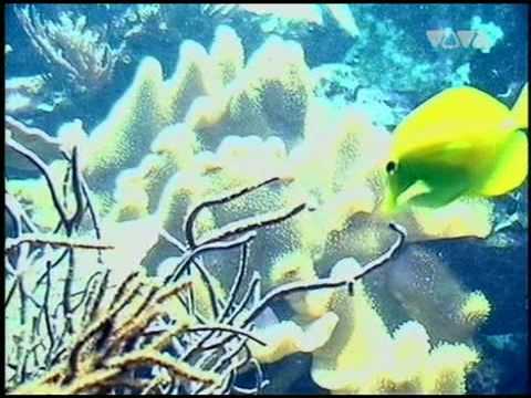 Declaime feat. Lil Dap - Shine Time