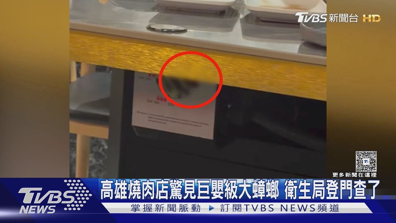 影音／高雄燒肉店驚見巨嬰級大蟑螂　店家停業清消　衛生局登門查了