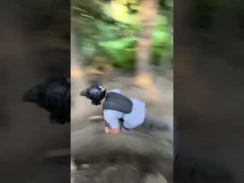 Last lap vibes 😍 #mtb #mountainbiking #whistlerbikepark #downhill #dhmtb #bikelife #whistler