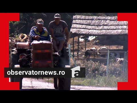 O zi din viaţa localnicilor din Vaslui, judeţul condus de baronul Dumitru Buzatu