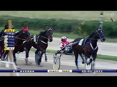 Aversa trotto 20 Gennaio 2021 - 5° Corsa