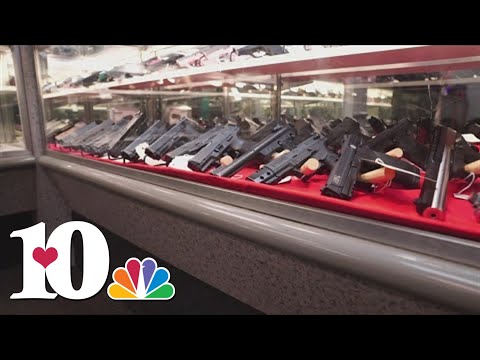 Governor Bill Lee asks lawmakers to support gun restriction proposal