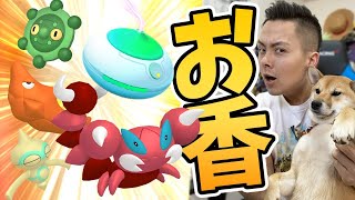 お香デイは色違いデイ 狙いはスコルピ ヤジロン キャタピー ドーミラー ポケモンgo تنزيل الموسيقى Mp3 مجانا お香デイは色違いデイ 狙いはスコルピ ヤジロン キャタピー ドーミラー ポケモンgo تنزيل الموسيقى Mp3 مجانا
