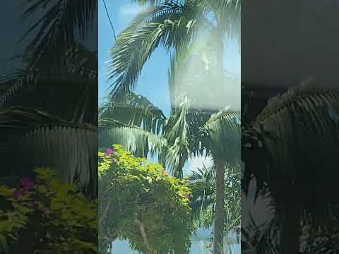 Costão - Guaraqueçaba -PR.