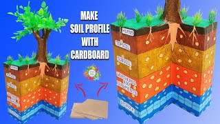 How to Make Soil Profile Model with Cardboard/soil layers