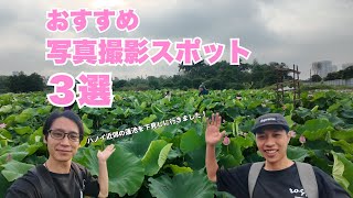 ハノイの蓮池フォトスポット3選｜ベトナムの写真映えする撮影地を紹介
