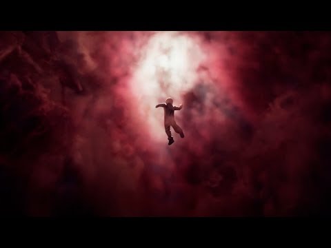 Peltokurki - Musta koira