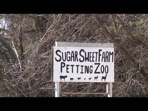 NJ Sussex County Petting Zoo Owner Won’t Face New Charges