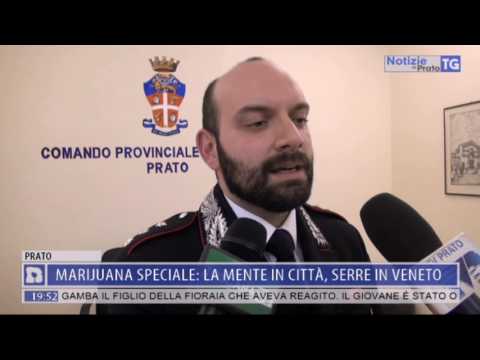 2017-03-09 NOTIZIE DI PRATO TG