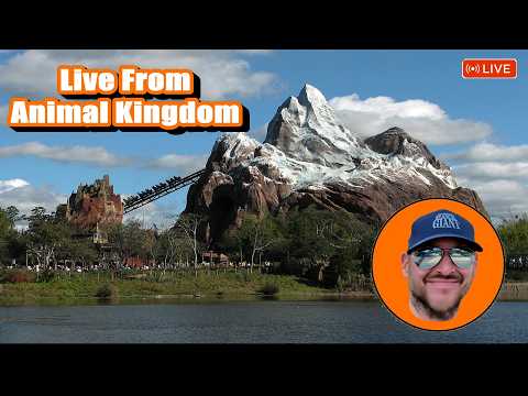Live webcam of Theme Park Giant