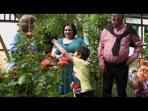 Film 1 - gestern -  Im Wald über sich hinauswachsen