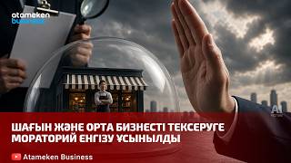 Шағын және орта бизнесті тексеруге мораторий енгізу ұсынылды