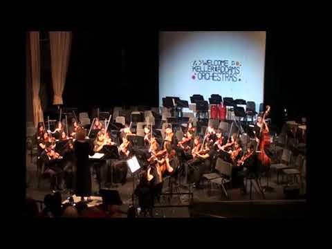 Schaumburg High School Fall 2017 Orchestra Concert