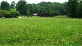preview picture of video '10901 Austin Traphill Road, Traphill, NC 28685'