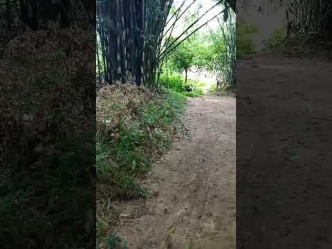 Perdido en la Jungla de Ituzaingó Corrientes