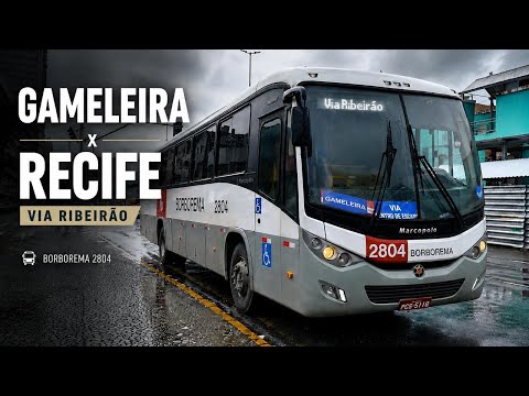 GAMELEIRA para RECIFE Via RIBEIRÃO com a BORBOREMA 😱 Você Conhece Essa Rota?