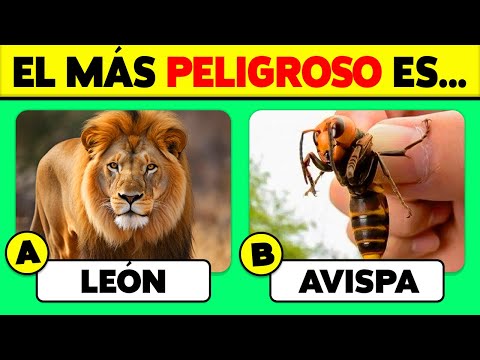 🧠 50 PREGUNTAS de ANIMALES 🐸🐷🦁 ¿Cuánto Sabes de Animales?