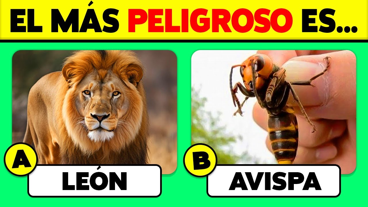 🧠 50 PREGUNTAS de ANIMALES 🐸🐷🦁 ¿Cuánto Sabes de Animales?