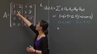 Exam #2 Problem Solving