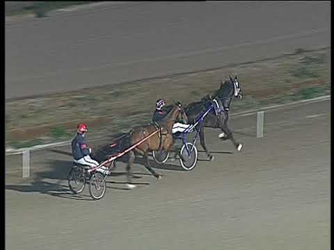 Trotto 26/01/2018 - prova di qualifica