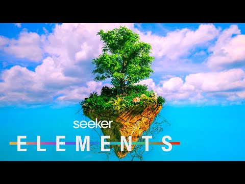 土壤真的能捕獲碳嗎？也許不能 (Can Soil Actually Capture Carbon? Maybe Not)