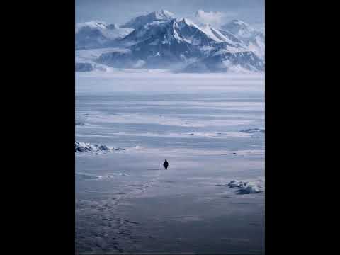 Viral Penguin TikTok Song L’Amour Toujours Gigi D’Agostino Organ version