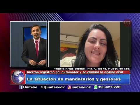 La situación de mandatarios y gestores