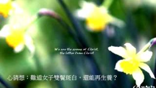 『神使我喜笑﹣以撒』盧永亨作品集 1 - 哼不完的歌(團契遊樂園推介詩歌)