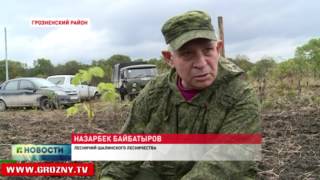 Чечня присоединилась к всероссийской экологической акции «Живи лес!»