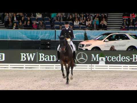 Stern - 10 jähriger Wallach von Sir Donnerhall I