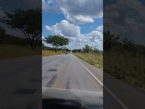 Trecho Rodovia TO-040 entre Dianópolis e Porto Alegre do Tocantins. @vemcomigo3827