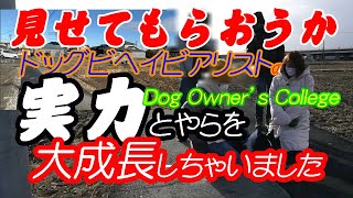 【ボーダーコリーの何にでも反応！が大改善！ビヘイビアリズムは結果が出ます。