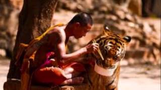 THE 5TH DIMENSION....children of tomorrow....