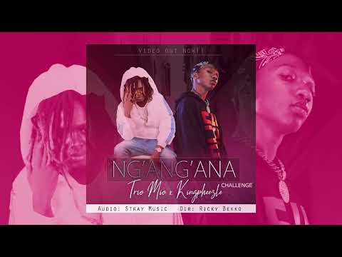 Trio Mio x Kingpheezle - Na ng'ang'ana Verse Challenge