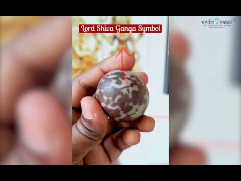 Om Shiva Aum Sacred Chandramouishvara Jatadhari Shakti Natural Shivalingum video