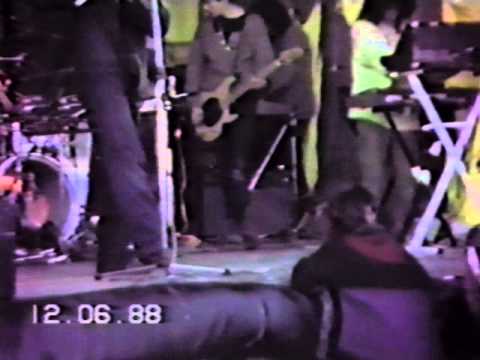 Ozric Tentacles 1988-06-12 Silchester Festival