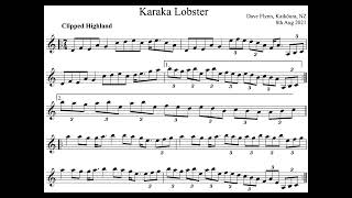 Clip of Karaka Lobster