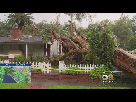 Kcal9