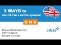 GNU Pronunciation Improve Your Language With Bab La
