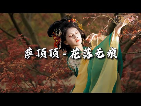 萨顶顶 - 花落无痕 (《白月梵星》影视剧片头曲)『敢问神明人间，何伤痴伤嗔伤离别，多情换得泪娑婆，贪聚贪守贪无缺。』【动态歌词MV】