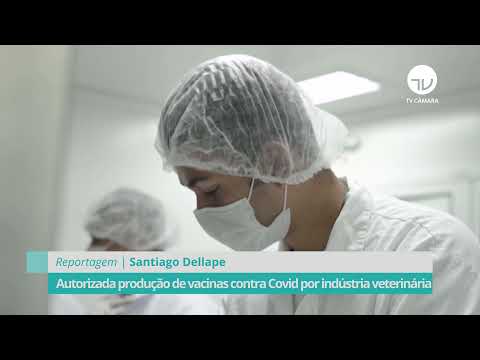 Autorizada produção de vacinas contra Covid por indústria veterinária - 23/07/21