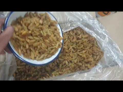 Solitaire Classic Long  Raisins