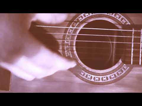 Hauku purkkiisi Rakki • PRHN'Chi