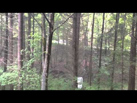 31º Rally degli Abeti