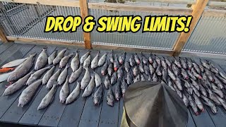 Our Most Insane Offshore Fishing Day Ever!