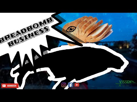 breadbomb business 'Pb carp on bread'