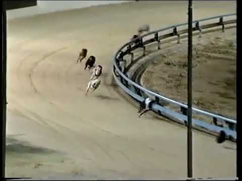 2001 Adelaide Cup   Brett Lee Track Record [25-01-2001]